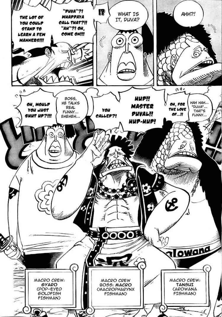 One Piece Chapter 492 6